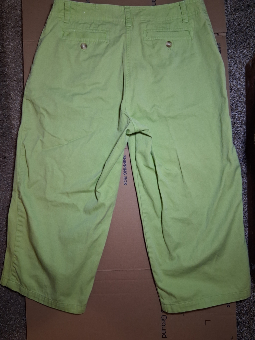 Mountain Lake Lime Green Woman's Shorts